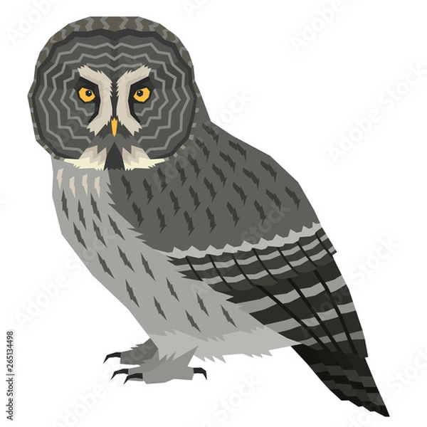 Obraz Great grey owl Birds collection Vector illustration Isolated object