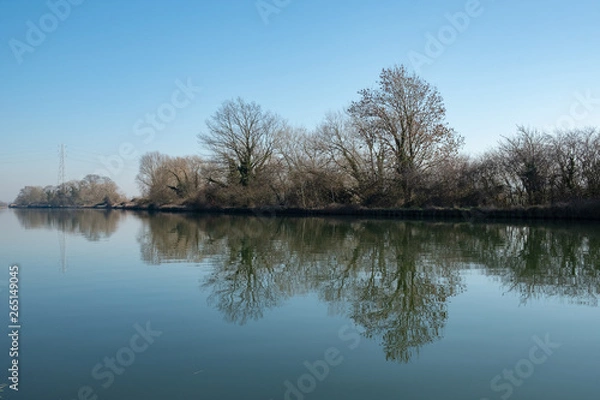 Obraz Tree reflections in calm canal waters
