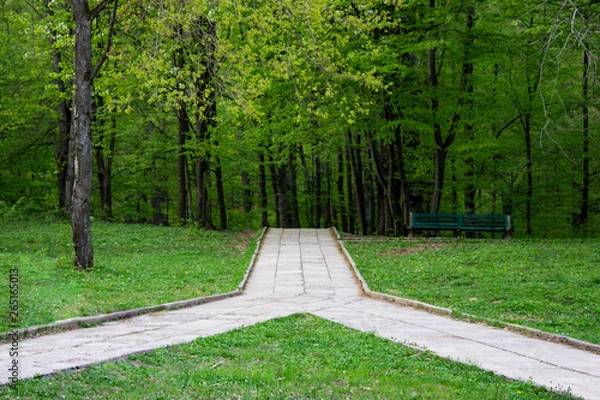 Fototapeta Converging forest path leading deep into the forest.