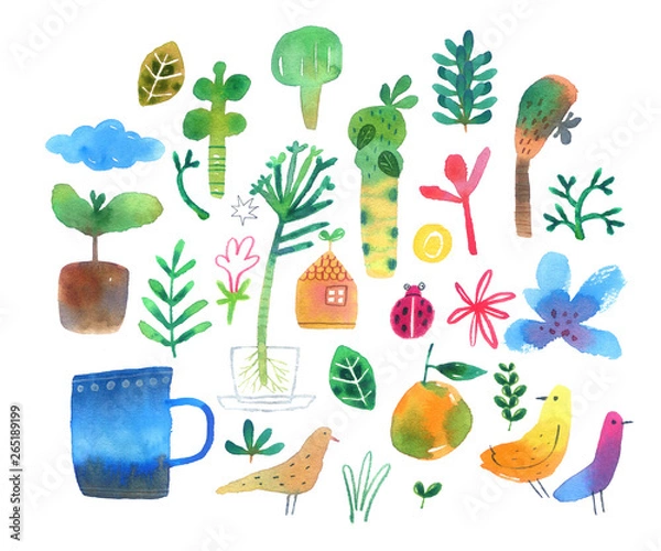 Obraz nature illustrations set 1