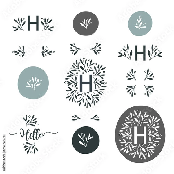 Obraz Set of hand drawn vector floral elements.	
