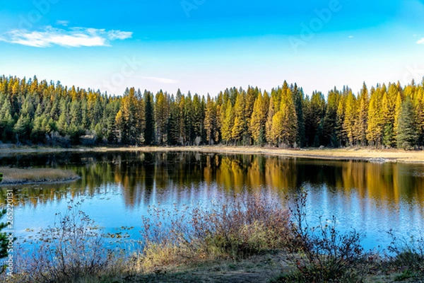 Obraz Frater Lake Fall