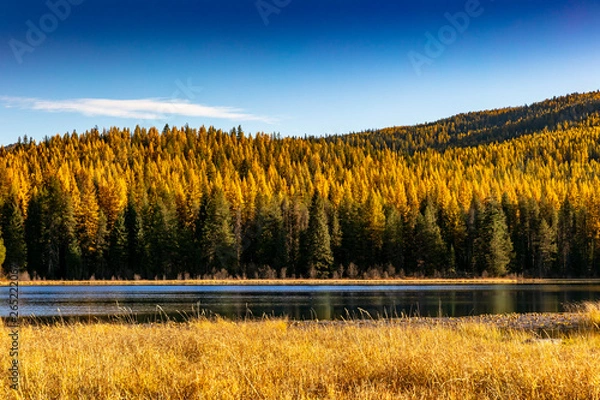 Obraz Nile Lake Fall