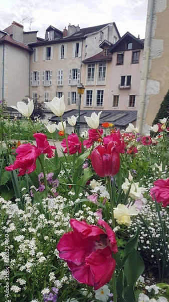 Obraz Banc de fleurs