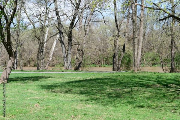 Obraz River overflow