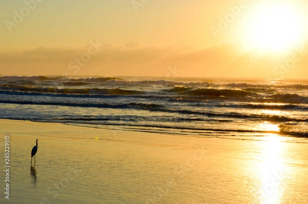 Fototapeta  The sun rises on Torres beach, Brazil. 5