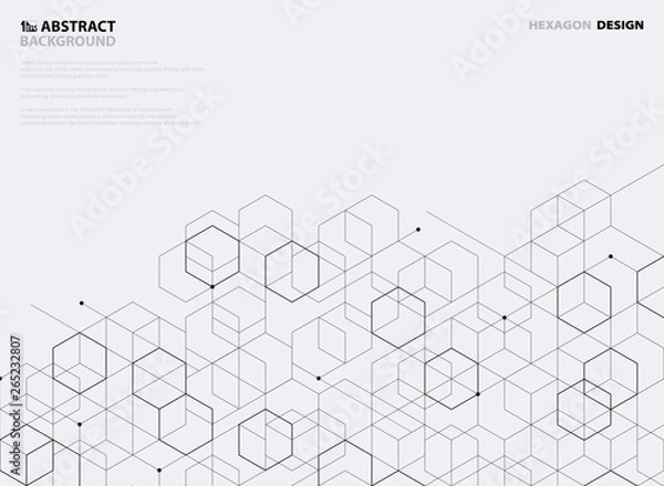 Fototapeta Abstract black hexagon pattern design on white background. illustration vector eps10