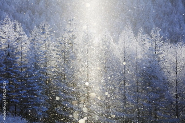 Obraz 霧ヶ峰の霧氷とダイヤモンドダストとサンピラー