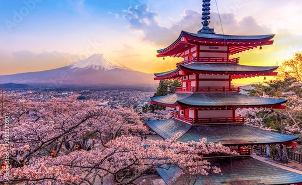 Fototapeta Fujiyoshida, Japonia Piękny widok na górę Fuji i pagodę Chureito o zachodzie słońca, japonia wiosną z kwiatami wiśni