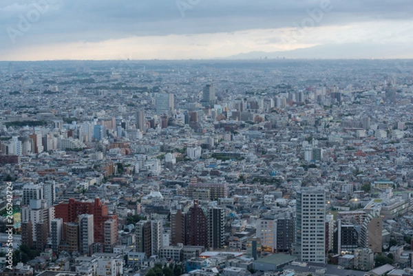 Obraz Aerial view of Tokyo suburb at dusk