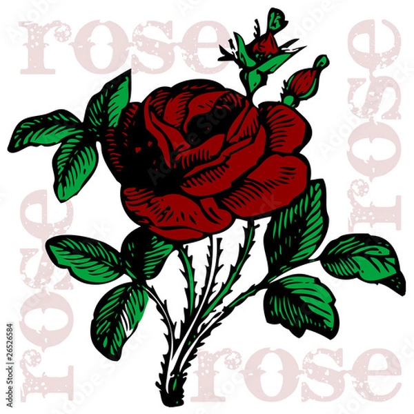 Obraz vector illustration rose tattoo