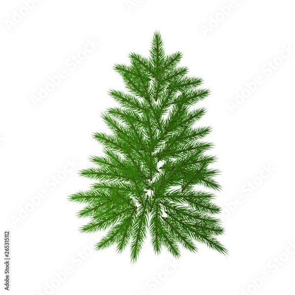 Fototapeta Tree, green Christmas fir tree, isolated on white background.