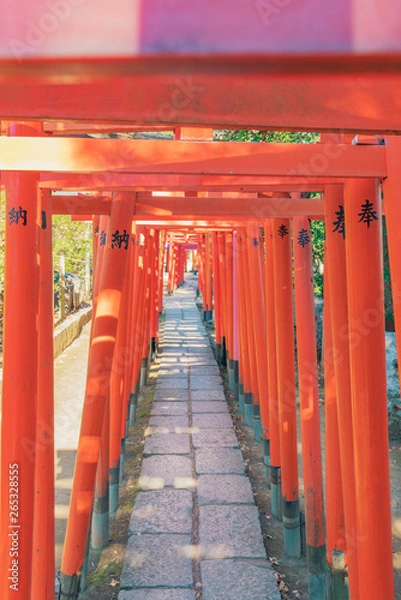 Fototapeta 稲荷神社の鳥居