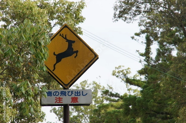 Obraz 鹿の飛び出し注意