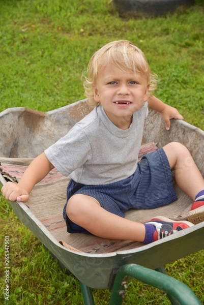 Obraz Happy little boy having fun in a wheelbarrow in domestic garden on warm sunny day. Active outdoors games for kids in summer.