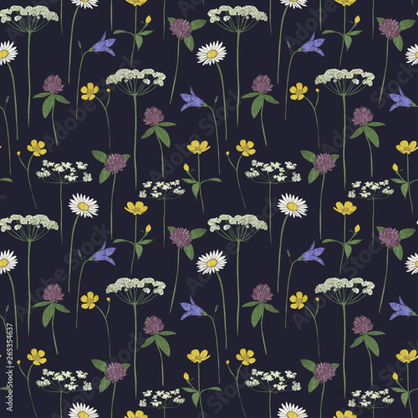 Obraz Seamless pattern midsummer flowers, vector