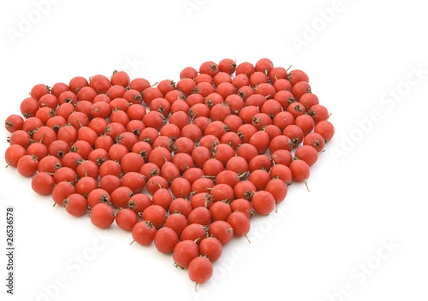 Obraz Hawthorn on a white background.