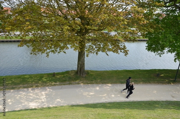 Obraz Утренняя пробежка