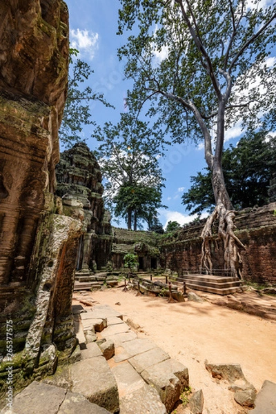 Fototapeta Huge strangler fig trees growwing inside the beautiful Ta Prohm temple, Siem Reap, Cambodia