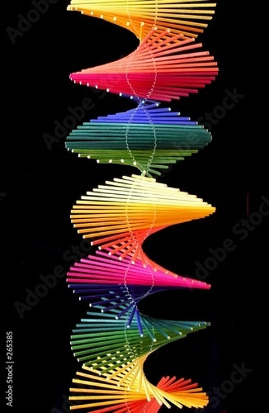 Obraz colors of life #5