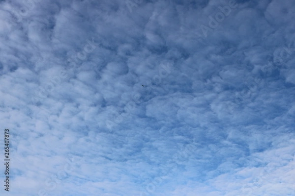 Obraz Cloudy Sky Background