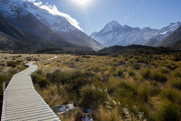 Obraz Footpath in the mountains