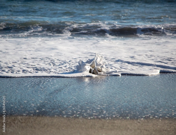 Obraz waves on the beach