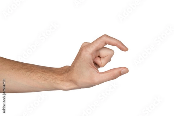 Fototapeta man's hand isolated on white background (size)