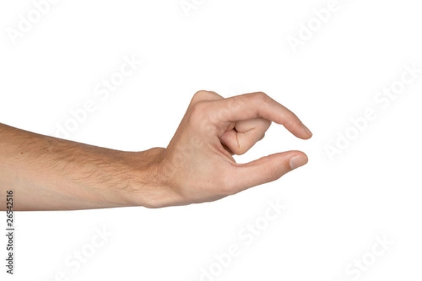 Fototapeta man's hand isolated on white background (size)