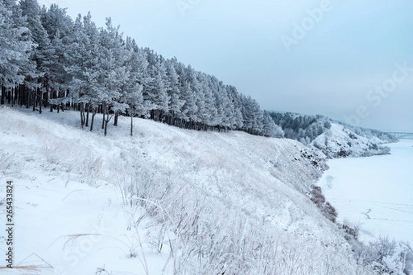 Fototapeta trees in frost at strong strong frost along the river, the slope all in snow winter landscape