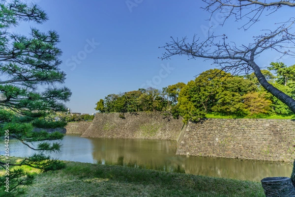 Obraz  	春の江戸城の乾濠の風景