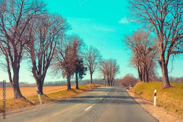 Fototapeta Asphalt country road in early spring