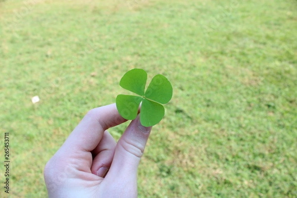 Obraz vierblättriges Kleeblatt