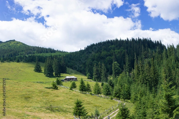 Fototapeta Scenic summer or spring mountain view with cloudy sky. Ukraine, Carpathians, Dzembronia High mountains in vivid color. Nobody. Beautiful mountain lanscape or valley.