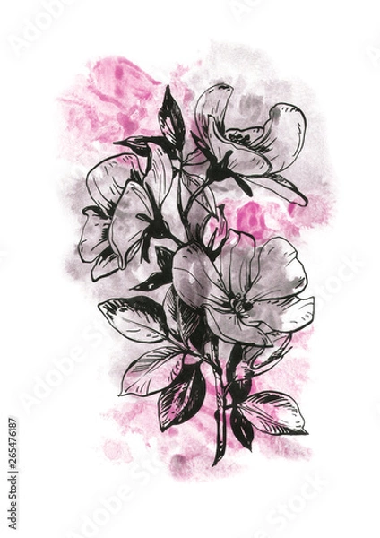 Fototapeta Hand drawn graphics flowers with watercolor background. Sketch for design, packaging, cards, posters.	