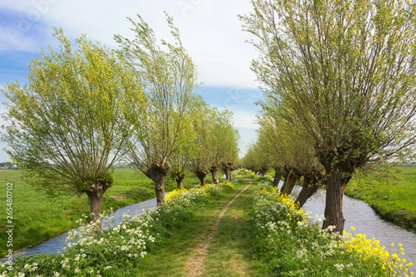 Obraz View on a typical Dutch landscape in spring in the beautiful green heart of the Netherlands. The path is part of the Pelgrimspad, an old traditional pilgrimage trail through the Netherlands