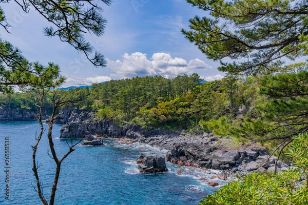 Obraz 静岡県伊東市　城ヶ崎海岸