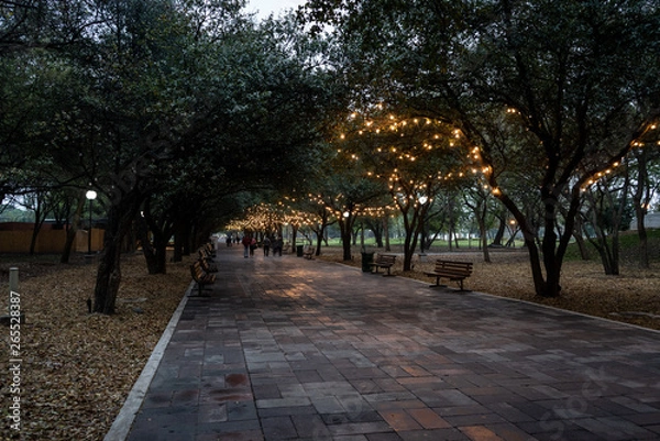 Obraz Paseo por el parque