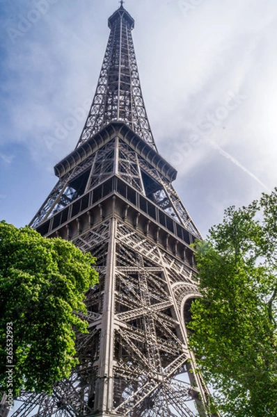 Fototapeta Eifel Tower full length bottom up low angle shot from tower basement with blue sky cloudy background and two green trees  
