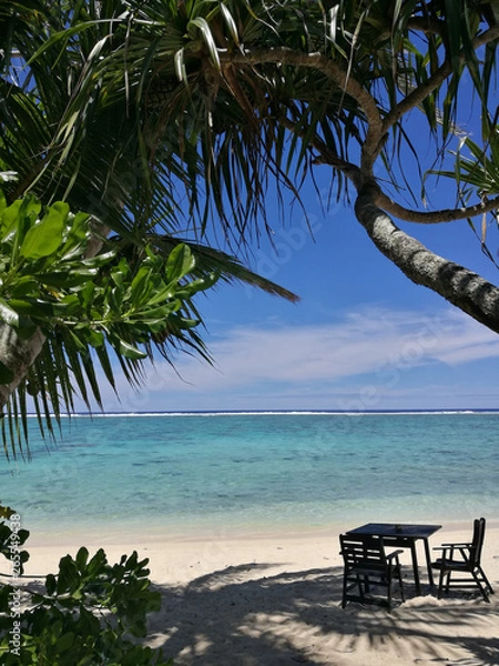 Obraz palm tree on the beach