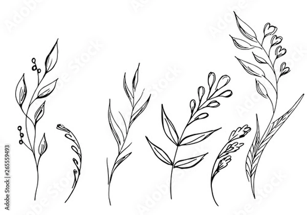 Fototapeta Hand Drawn  Illustrations Of Abstract Set of Flowers Isolated on White. Hand Drawn Sketch of a Flowers