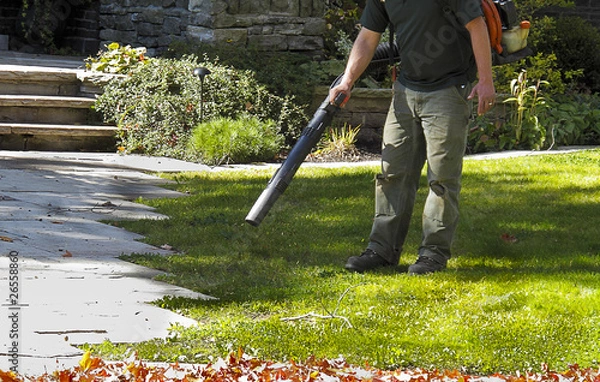 Fototapeta Landscaper operating Leaf Blower
