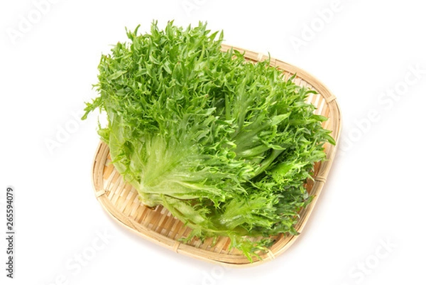 Fototapeta ハンサムグリーン