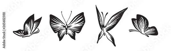 Fototapeta Hand drawn butterflies set outline sketch. Vector black ink drawing isolated on white background. Graphic illustration