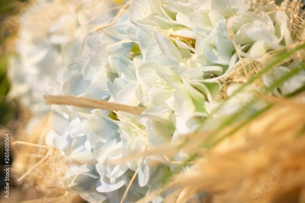 Obraz Wedding decoration background