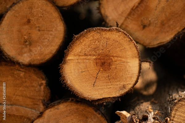 Obraz Industrial background logs