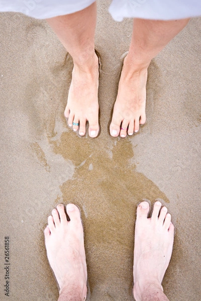 Obraz Pies de Pareja