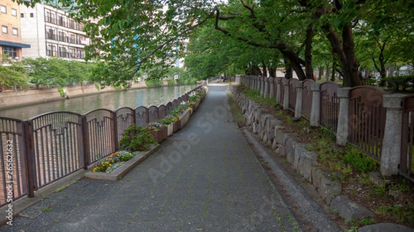 Fototapeta 公園  福岡 春