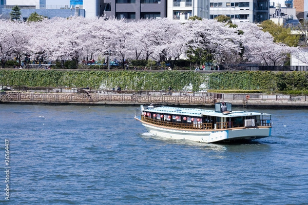 Obraz 春の隅田川