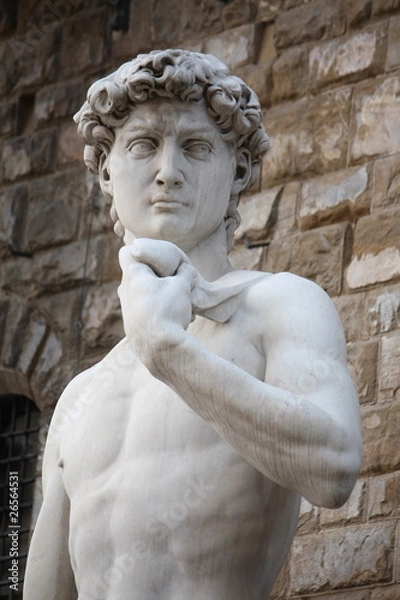 Obraz David Statue in Florence Tuscany
